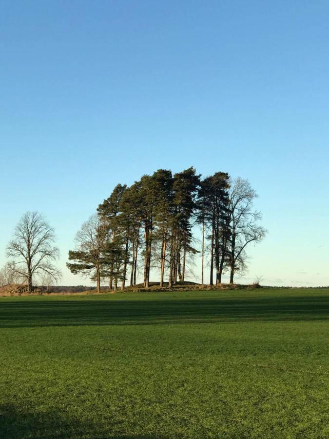Hunnebergs Gard & 旅馆 Vargon