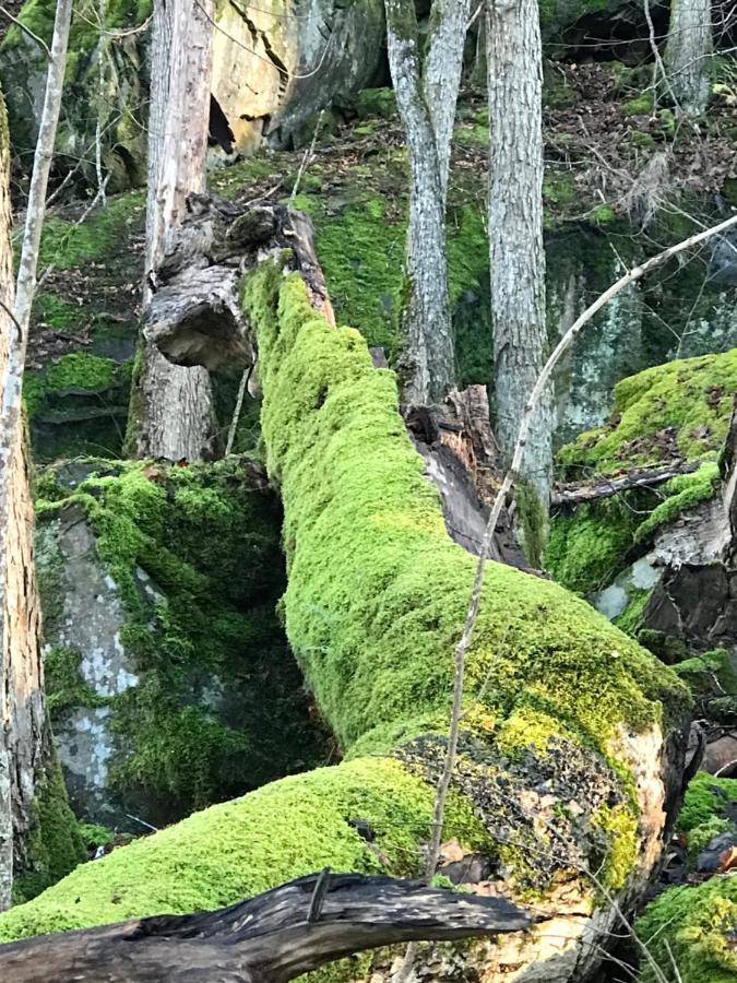 旅馆 Hunnebergs Gard & *